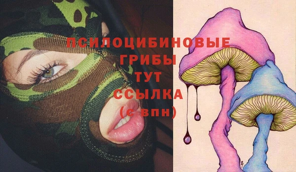 ешки Надым
