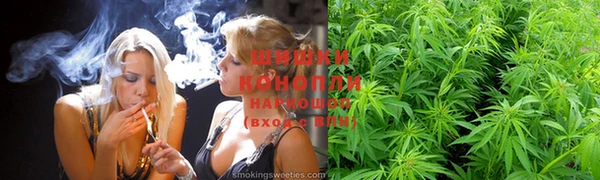 ешки Надым