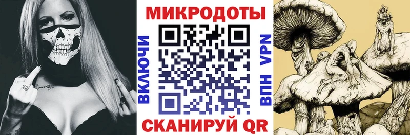 наркошоп  Кувшиново  Галлюциногенные грибы Psilocybe 
