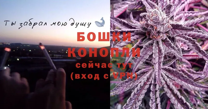 что такое наркотик  Кувшиново  Бошки Шишки White Widow 